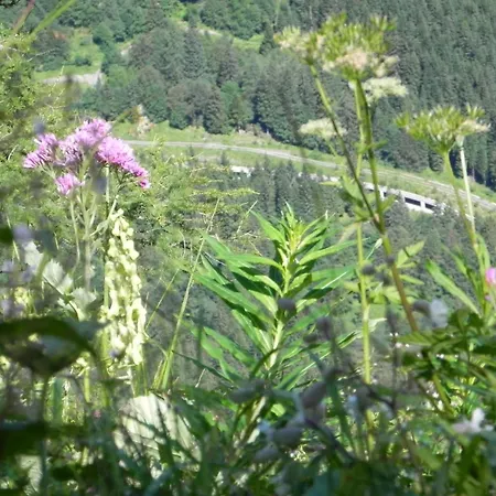 Apartment Near The Gondelbahn With Shared Pool * Tröpolach